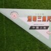 Set square 45cm