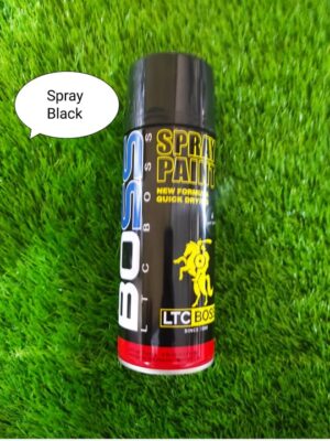 Aspen Spray Paint Black
