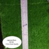 Japanese Scale China Good Quality 50cm