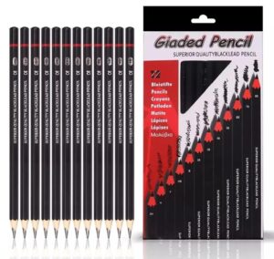 Giaded Pencils For Sketches 12 pencil set