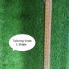 Tailoring Scale L shape
