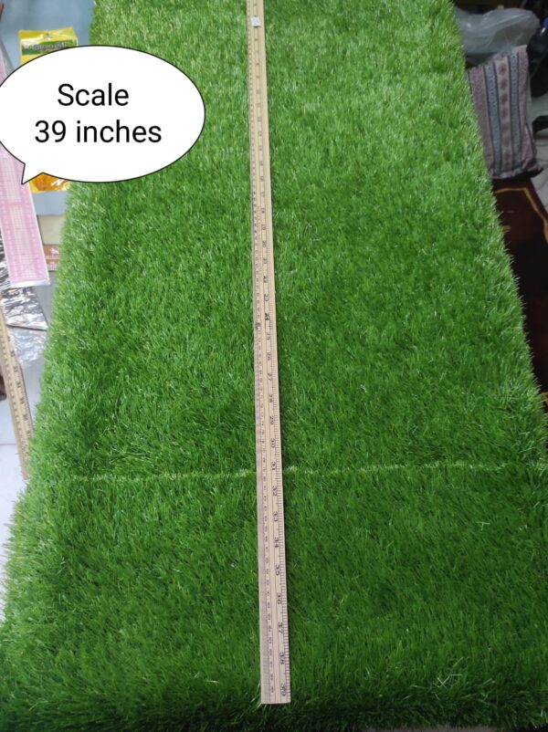 Wood Scale 39 inch 250