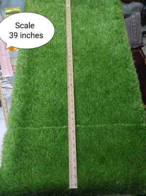 Wood Scale 39 inch 250