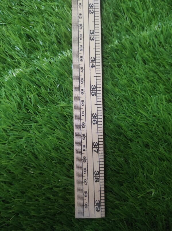 Wood Scale 39 inch 250