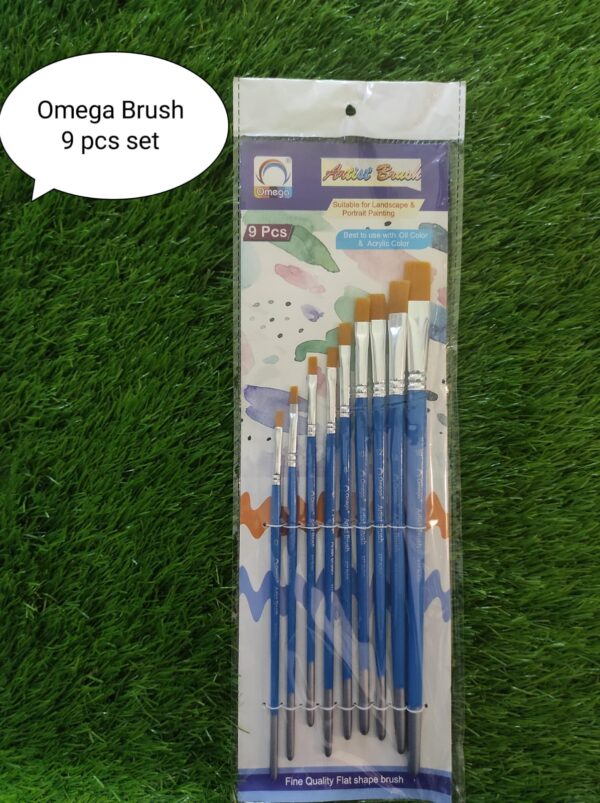 Omega Brush 9 Pcs Set