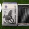 Black Charcole Pencil 12 pcs mix Set