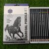 Black Charcole Pencil 12 pcs mix Set