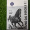 Black Charcole Pencil 12 pcs mix Set