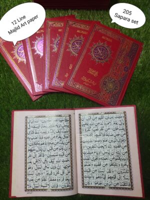  سپارہ سیٹ مجلد (جلد والا) آرٹ پیپر 12 لائن گرین بیک گراؤنڈ