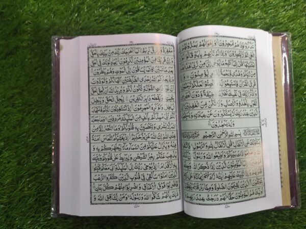 سولہ لائن قرآن پاک آرٹ پیپر حمائل سائز گرین بیک گراؤنڈ تاج کمپنی